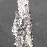 Stibnite, FluoriteDushan, Prefectura Autónoma Qiannan, Provincia Guizhou, China4,5 x 1 cm (Author: Volkmar Stingl)