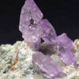 Quartz (variety amethyst)Cantera Capurru, Osilo, Provincia Sassari, Cerdeña/Sardegna, Italia67 x 40,5 mm (Author: Sante Celiberti)