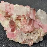 Tourmaline (variety rubellite), Quartz<br />Gaoligong Mountains, Nujiang Valley, Nujiang Autonomous Prefecture, Yunnan Province, China<br />4,5 x 3 cm<br /> (Author: Volkmar Stingl)