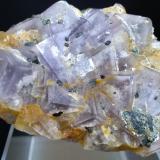 Fluorite, Marcasite, Quartz<br />Is Murvonis Mine, Domusnovas, Sud Sardegna Province, Sardinia/Sardegna, Italy<br />80 x 65 mm<br /> (Author: Sante Celiberti)