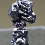 Acantita<br />Mina Masaloni, San Vito, Provincia Sud Sardegna, Cerdeña/Sardegna, Italia<br />18 x 10,3 mm con el cristal mayor de 9 mm<br /> (Autor: Sante Celiberti)