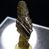 EpidoteSollnkar, Krimml, Distrito Zell am See, Salzburgo/Salzburg, Austria38 x 13 mm (Author: Sante Celiberti)