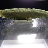 Titanite<br />Gletsch, Furka Pass area, Oberwald, Obergoms, Goms, Wallis (Valais), Switzerland<br />48.7 x 11.6 mm<br /> (Author: Sante Celiberti)
