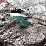 Beryl (variety Emerald)<br />Sedl, Habach Valley, Hohe Tauern, Salzburg, Austria<br />6 x 4 cm<br /> (Author: Volkmar Stingl)