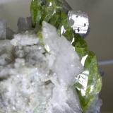 Titanite, Orthoclase (variety adularia)<br />Drum Tobel, Sedrun, Tujetsch (Tavetsch), Grischun (Grisons; Graubünden), Switzerland<br />39,6 x 31,9 mm<br /> (Author: Sante Celiberti)