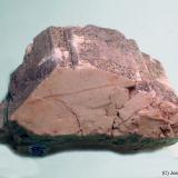 Microclina<br />Bustarviejo, Comarca Sierra Norte, Comunidad de Madrid, España<br />55 x 40 mm<br /> (Autor: Joan Niella)