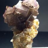 Fluorita<br />Mina Is Murvonis, Domusnovas, Provincia Sud Sardegna, Cerdeña/Sardegna, Italia<br />50 x 35 mm<br /> (Autor: Sante Celiberti)
