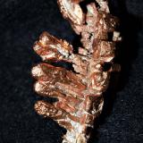 Copper<br />Keweenaw County, Michigan, USA<br />3x1.5x1.2 cm''s<br /> (Author: Joseph DOliveira)