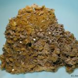 WulfenitaPozo XI (Puit XI), Touissit, Distrito Touissit, Provincia Jerada, Región Oriental, Marruecos60 x 45 mm (Autor: Joan Niella)