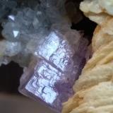 Fluorite, Baryte, QuartzMuscadroxius-Genna Tres Montis Mine, Silius, Sud Sardegna Province, Sardinia/Sardegna, Italy116 x 50 mm (Author: Sante Celiberti)