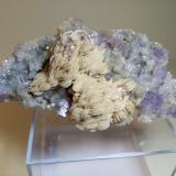 Fluorite, Baryte, QuartzMuscadroxius-Genna Tres Montis Mine, Silius, Sud Sardegna Province, Sardinia/Sardegna, Italy116 x 50 mm (Author: Sante Celiberti)