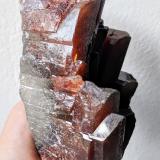 BaritaJebel Aouam, M'Rirt, Khénifra Province, Béni Mellal-Khénifra Region, Morocco16,0 x 8,2 cm. (Autor: Carles)