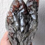 BaritaJebel Aouam, M'Rirt, Khénifra Province, Béni Mellal-Khénifra Region, Morocco16,0 x 8,2 cm. (Autor: Carles)