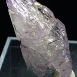 Cuarzo (variedad amatista)<br />Cantera Capurru, Osilo, Provincia Sassari, Cerdeña/Sardegna, Italia<br />43 x 21 mm<br /> (Autor: Sante Celiberti)