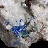 Azurite, Dolomite<br />Ringenwechsel Mining District, Troi, District Schwaz, Inn Valley, North Tyrol, Tyrol/Tirol, Austria<br />FoV ca. 1 x 1,5 cm<br /> (Author: Volkmar Stingl)