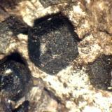 Magnesita<br />Barranc de les Collades, Pantà d'Escales, Casterner de les Olles, Tremp, Comarca Pallars Jussà, Lérida / Lleida, Cataluña / Catalunya, España<br />38 x 27 x 16 mm.<br /> (Autor: José Luis Zamora)