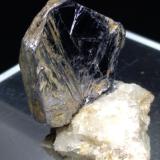 MolybdeniteMina Perda de Pibera, Gonnosfanadiga, Provincia Sud Sardegna, Cerdeña/Sardegna, Italia34 x 32 mm (Author: Sante Celiberti)