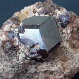 Garnet (variety Grossular)Mina Fushan, She, Prefectura Handan, Provincia Hebei, China4 x 4 cm (Author: Volkmar Stingl)