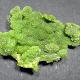 PyromorphiteCrabulazzu Mine, Arbus, Medio Campidano Province, Sardinia/Sardegna, Italy49 x 30,5 mm (Author: Sante Celiberti)