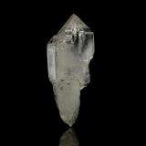 Quartz (variety scepter)<br />Fenice Capanne Mine, Massa Marittima, Grosseto Province, Tuscany, Italy<br />mm.35x15x12<br /> (Author: Diego Pucci)