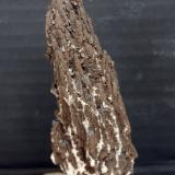 óxidos de manganeso<br />Requena, Comarca Requena-Utiel, Valencia / València, Comunidad Valenciana / Comunitat Valenciana, España<br />9 x 3.5 cm<br /> (Autor: Pedro Antonio)