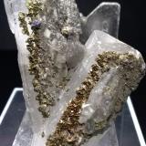 Baryte, Marcasite, GalenaMuscadroxius-Genna Tres Montis Mine, Silius, Sud Sardegna Province, Sardinia/Sardegna, Italy60 x 50 mm (Author: Sante Celiberti)