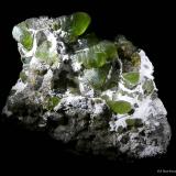 Forsterita (variedad peridoto)<br />Sapat Gali (Suppat), Naran, Valle Kaghan, Distrito Mansehra, Jaiber Pastunjuá, Paquistán<br />90x65 mm.<br /> (Autor: Jesus Franquesa Baucells)