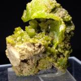 PyromorphiteCrabulazzu Mine, Arbus, Medio Campidano Province, Sardinia/Sardegna, Italy35,6 x 31,3 mm (Author: Sante Celiberti)