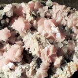 Rhodochrosite, QuartzMina Champion, Cinnamon Pass, Lake City, Condado Hinsdale, Colorado, USA5 x 3 cm (Author: Volkmar Stingl)