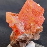 Wulfenite, Vanadinte, CalciteMina Pure Potential, Distrito Silver, Montes Trigo, Condado La Paz, Arizona, USA2 x 2 cm (Author: Volkmar Stingl)