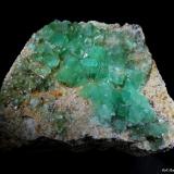 Fluorita.<br />Pedrera Berta, Turó de Can Domènech, Serra de Roques Blanques, Sant Cugat del Vallès-El Papiol, Comarca Vallès Occidental / Baix Llobregat, Barcelona, Cataluña / Catalunya, España<br />80x65 mm.<br /> (Autor: Jesus Franquesa Baucells)