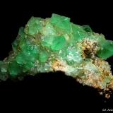 Fluorita.<br />Pedrera Berta, Turó de Can Domènech, Serra de Roques Blanques, Sant Cugat del Vallès-El Papiol, Comarca Vallès Occidental / Baix Llobregat, Barcelona, Cataluña / Catalunya, España<br />52x51 mm.<br /> (Autor: Jesus Franquesa Baucells)