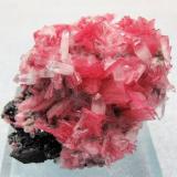 Rhodonite, Quartz, Sphalerite, PyriteSan Martín Mine, Chiurucu (Chiuruco), Huallanca District, Bolognesi Province, Ancash Department, Peru53mm x 52mm x 40mm. Main rhodonite crystal: 10mm tall, 6mm wide, 1mm thick (Author: Carles Millan)