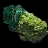 Dioptase<br />Tsumeb Mine, Tsumeb, Otjikoto Region, Namibia<br />10 x 5 x 5 mm<br /> (Author: Rob Schnerr)