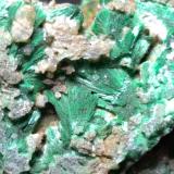 Malachite, CerussiteMiniera Montevecchio, Arbus, Provincia Medio Campidano, Cerdeña/Sardegna, Italia56,4 x 41,5 mm (Author: Sante Celiberti)