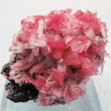 8224M-rhodonite3.jpg (Author: Carles Millan)