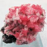 Rhodonite, quartz, sphalerite, pyriteMina San Martín, Chiurucu (Chiuruco), Distrito Huallanca, Provincia Bolognesi, Departamento Ancash, Perú53mm x 52mm x 40mm. Main rhodonite crystal: 10mm tall, 6mm wide, 1mm thick. Mass: 112g (Author: Carles Millan)