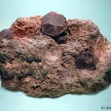 AragonitoYacimiento de Aragonitos, Cabezo de San Jorge, Blesa, Comarca Cuencas Mineras, Teruel, Aragón, España80x50 mm (Autor: Joan Niella)