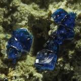 Cornetite<br />Kasompi Mine, Swambo, Kambove District, Katanga Copper Crescent, Katanga (Shaba), Democratic Republic of the Congo (Zaire)<br />VOF appr. 3 mm<br /> (Author: Rob Schnerr)