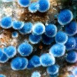 Connellita y ButtgenbachitaMina Casualidad, Cordillera de los Picachos, Baños de Sierra Alhamilla, Pechina, Comarca Metropolitana de Almería, Almería, Andalucía, España1.2mm (Autor: Rewitzer Christian)
