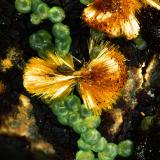 Calcosiderita y CacoxenoEl Horcajo Mines, El Horcajo, Almodóvar del Campo, Comarca Campo de Calatrava, Ciudad Real, Castilla-La Mancha, Spain3mm (Autor: Rewitzer Christian)