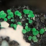 McGuinnessitaCasualidad Mine, Cordillera de los Picachos, Baños de Sierra Alhamilla, Pechina, Comarca Metropolitana de Almería, Almería, Andalusia, Spain3.2mm (Autor: Rewitzer Christian)