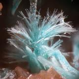 KapellasitaCasualidad Mine, Cordillera de los Picachos, Baños de Sierra Alhamilla, Pechina, Comarca Metropolitana de Almería, Almería, Andalusia, Spain1.6mm (Autor: Rewitzer Christian)