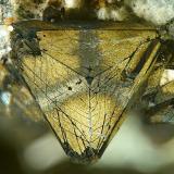 Tetrahedrita con Calcopirita perimórficaCasualidad Mine, Cordillera de los Picachos, Baños de Sierra Alhamilla, Pechina, Comarca Metropolitana de Almería, Almería, Andalusia, Spain1.3mm (Autor: Rewitzer Christian)