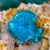 SerpieritaCasualidad Mine, Cordillera de los Picachos, Baños de Sierra Alhamilla, Pechina, Comarca Metropolitana de Almería, Almería, Andalusia, Spain1mm (Autor: Rewitzer Christian)