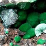 Spertiniita y CupritaCasualidad Mine, Cordillera de los Picachos, Baños de Sierra Alhamilla, Pechina, Comarca Metropolitana de Almería, Almería, Andalusia, Spain1.6mm (Autor: Rewitzer Christian)