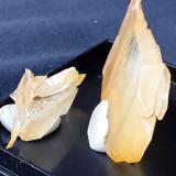 Quartz<br />Fendels Gorge, Ried im Oberinntal, Landeck District, North Tyrol, Tyrol/Tirol, Austria<br />4 x 2,5 cm<br /> (Author: Volkmar Stingl)
