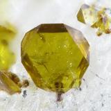 Corkite<br />La Paloma Mine, Zarza la Mayor, Mancomunidad Rivera de Fresnedosa, Cáceres, Extremadura, Spain<br />FOV 1,6 mm<br /> (Author: Rewitzer Christian)