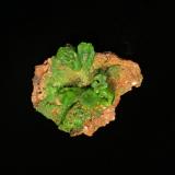 Pyromorphite<br />Daoping Mine, Gongcheng, Guilin Prefecture, Guangxi Zhuang Autonomous Region, China<br />80 mm x 70 mm x 40 mm<br /> (Author: Robert Seitz)