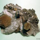 Magnesita (variedad pistomesita)<br />Albatera, Comarca Vega Baja del Segura, Alicante / Alacant, Comunidad Valenciana / Comunitat Valenciana, España<br />70x60 mm<br /> (Autor: Joan Niella)